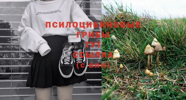 сатива Богородск