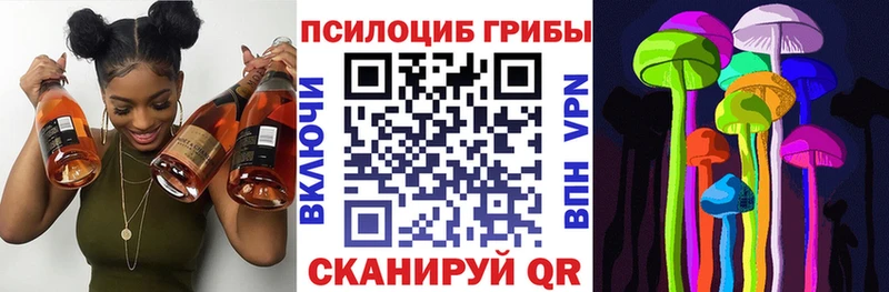 Галлюциногенные грибы Psilocybe  купить закладку  Горячий Ключ 